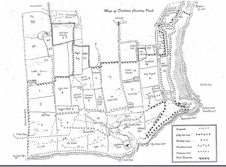 Field Map of Durlston